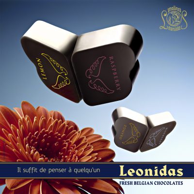 Leonidas Campaign
